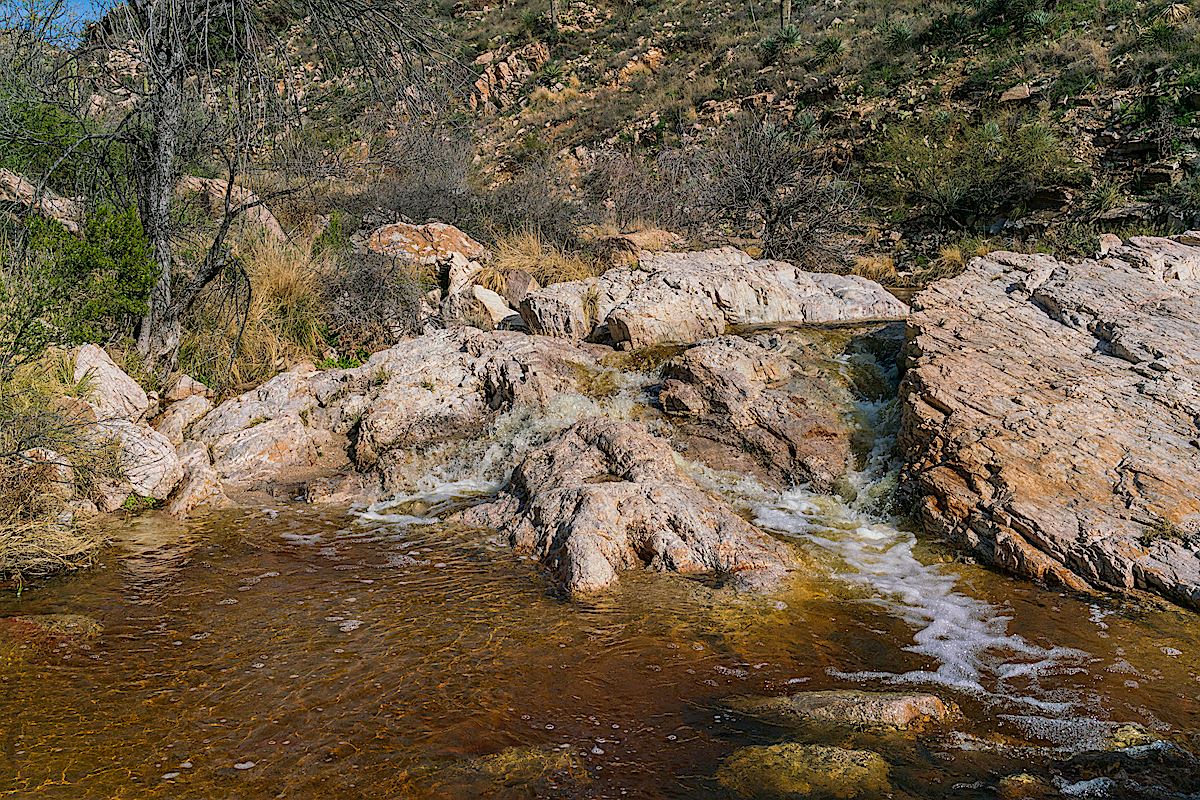 Flowing water in Agua Caliente Canyon. February 2019.